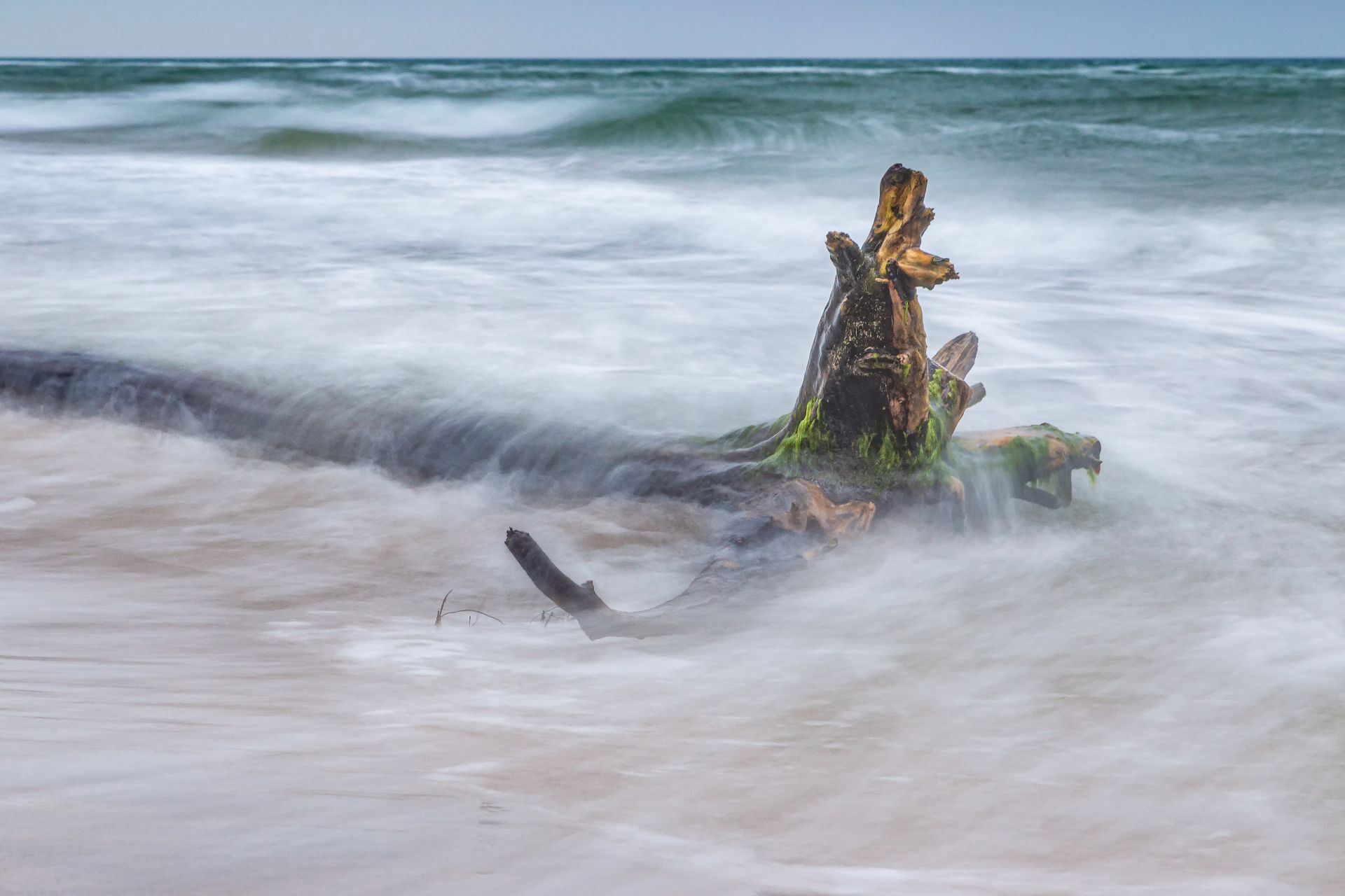 Am Darsser Weststrand